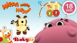 Hippa Hippa Hey 🪀🧩  Animal Sound Games and Matching Fun for Kids | Cartoons | Toys for Kids @BabyTV
