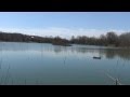 OASI NATURALISTICA LA MADONNINA (SANT' ALBANO STURA) CN.