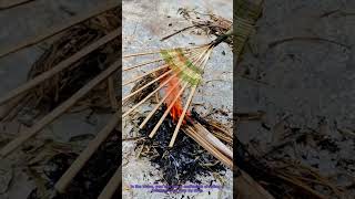 Traditional Bamboo Rake Making Handcrafting Process