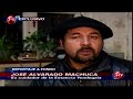caballos salvajes
