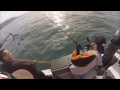 North Cal Sportfishing