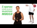 Эффективный тренинг (Владимир Молодов) Эффективный тренинг (Владимир Молодов)