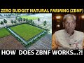 ZERO BUDGET NATURAL FARMING (ZBNF) | Subhash Palekar