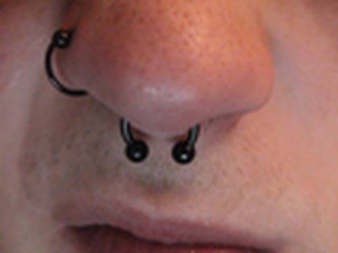 Tags: Stupid piercings idiots idiot septum piercing getting my pierced video 