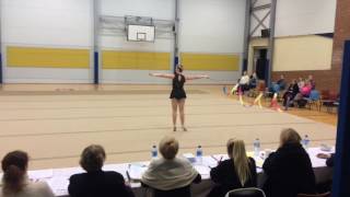 What is Rhythmic Gymnastic all about