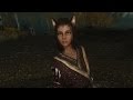 Skyrim Mod Review - M'rissi's Tails of Troubles