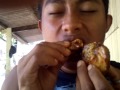 Org Org Bejat images Org Org Bejat