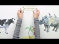 Symbiose - Grundprinzip | Biologie | Ökologie