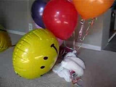 happy birthday balloons animated. Funny Ecards Happy Birthday Balloons Animated Ecards musical Free Greeting