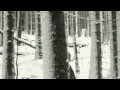 All Summer Long Video preview