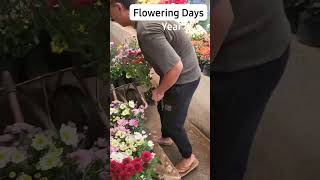 Flowering Days In The Garden Year 8