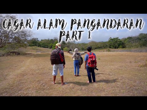 TRAVEL VLOG 5: CAGAR ALAM PANGANDARAN PART 1 (SEJARAH GOA PANGGUNG DAN GOA KERAMAT)