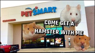 Come Get A Second Hamster With Me See Enclosure