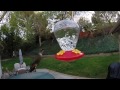 Hummingbird Voices and Slow Motion GoPro Hero3+ Black V14639