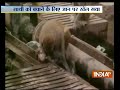 Kanpur