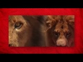 filmriot
