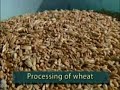 Seed Cleaning Machine