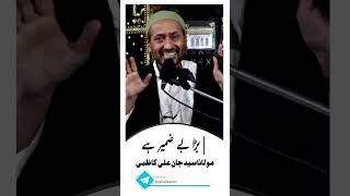 Molana Syed Jan Ali Kazmi