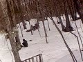 Fox4 S Ice Station Zebra 26 Feb 2011