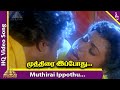 Muthirai Ippothu Video Song HD | Uzhaippali Tamil Movie Songs | Rajinikanth | Roja | Ilayaraja
