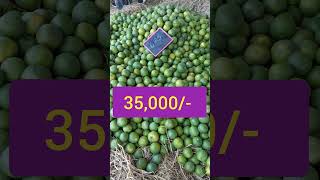 Mosambi Rate Today Hyderabad Fruit Market Batasingaram 26-04-2023.
