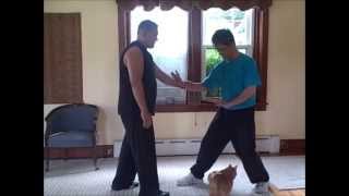 Sifu Lan Tran & Sifu Raj Singh - Hsing-i / Pi Chuan discussion