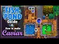 Fish Pond Guide | How to make Caviar | Stardew Valley 1.4 Update | New Gameplay | New Features