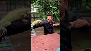Ka Khel Dikhate Hue Lord Superstar Puneet Shorts