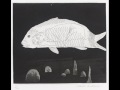 Eliot Lipp - One Knot [drawnings-photos; David Hockney].wmv