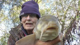 Barbel Fishing 124. Topcliffe Tues 29Th Oct