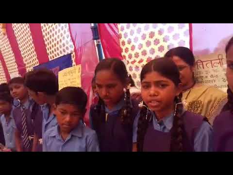 Butterfly Life Cycle. Science project in Hindi