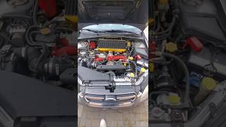 Td05 20G Legacy Gt 2008 Start Up