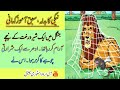 نیکی کا بدلا ،سبق آ موز کہانی،Naiki ka Badla Story In Urdu.Sabak Aamuoz Kahani, All Urdu Story