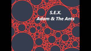 Watch Adam The Ants Sex video