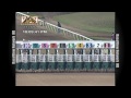 PSBA American Paint Classic, American Paint Derby