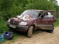 chevrolet niva in the forest near Vyazma 2