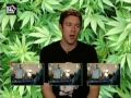 Snoop Dogg - Who Am I? (What's My Name?) (Video On Trial)