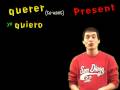 02 Spanish Lesson - Preterite - Irregulars - Querer