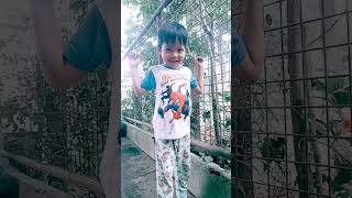 Ngek