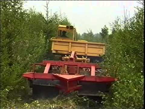Осветление и уход за культурами Осветление и уход за культурами