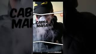 #cabba.mafia)