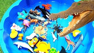 Wild Zoo Animals Toys! Baby Mom Learn Animals Names Education Toys for Kids Blue Pool