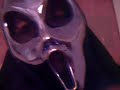 thefunnyscreamvids