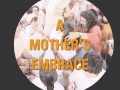 Embracing the World   Project Overview