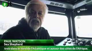 Sea Shepherd (Interview de Paul Watson) - Reportage AlterJT 03/03/2015 - 20