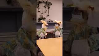 Easter Puppet Show April 12 2020