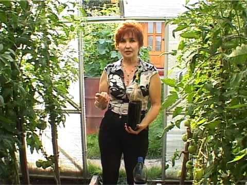 Как применять сульфат магния удобрение Как применять сульфат магния удобрение
