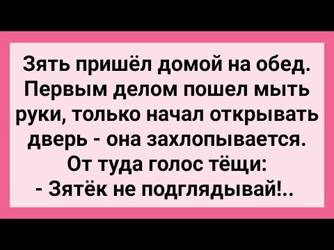 Теща пришла в гости к возбужденному зятю и попрыгала на его члене