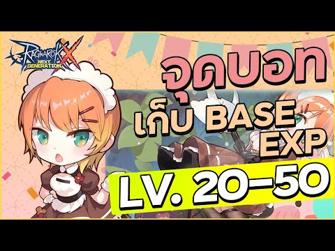 จุดบอทเก็บ Base Exp ช่วง LV. 20 50 | Ragnarok X Next Generation (ROX)