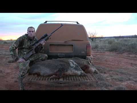 Hogs Video